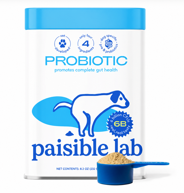 Racine PL-02™ — Anti-stress & digestion chien