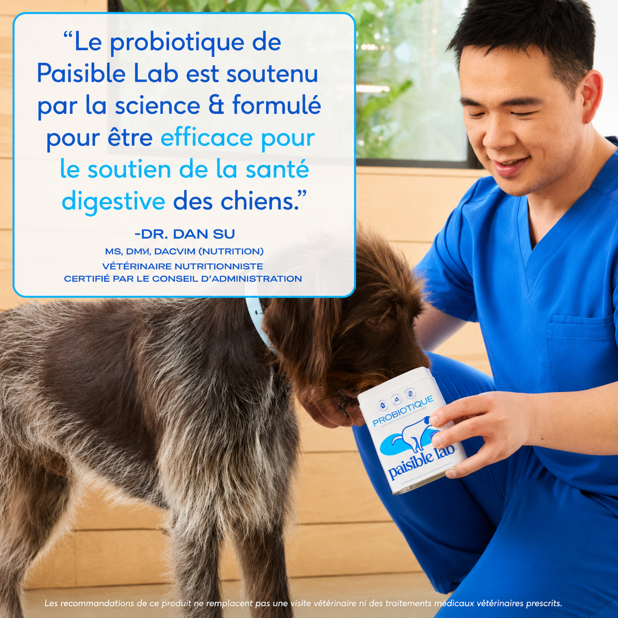 Racine PL-02™ — Anti-stress & digestion chien